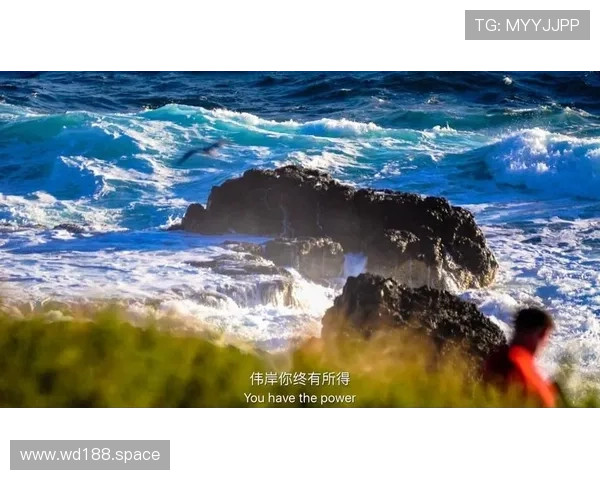 探索djdl777.app：一款全新音乐下载应用的特色与使用指南